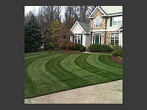 Lawn Striping, Mentor, OH